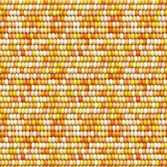 Joann Digital Print Design JD111 - 100% Cotton